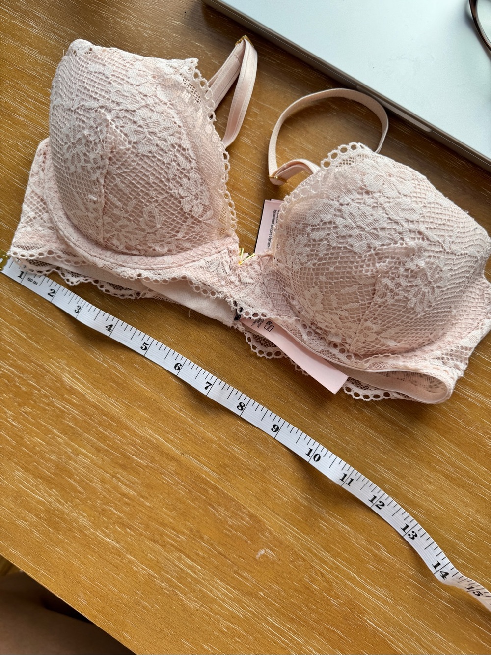 Victoria's Secret Lace Plunge Bra in Pale Pink